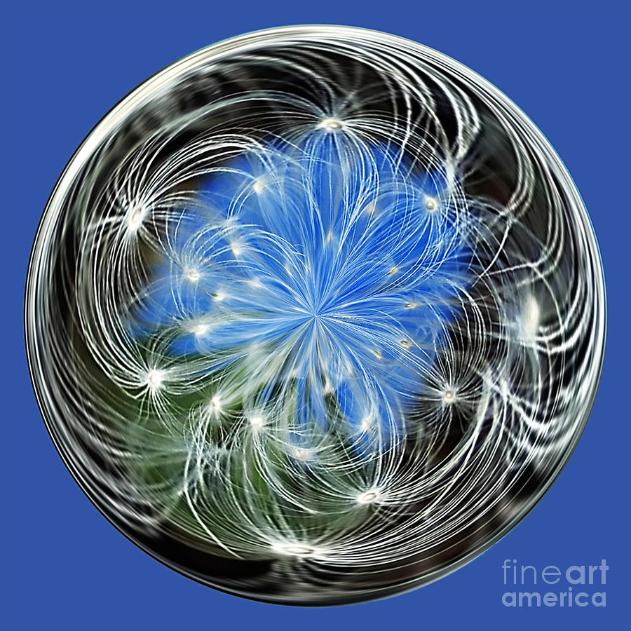 Ball Photograph - Ornamental Dandelion 3 by Kaye Menner