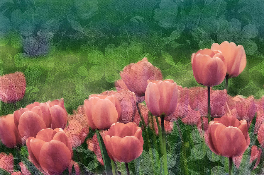 Tulip Mixed Media - Ornamental Garden by Georgiana Romanovna