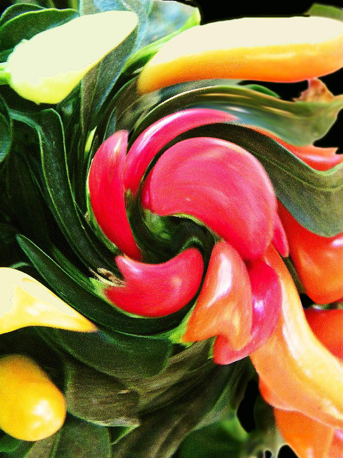 Ornamental Pepper  Whirl Digital Art