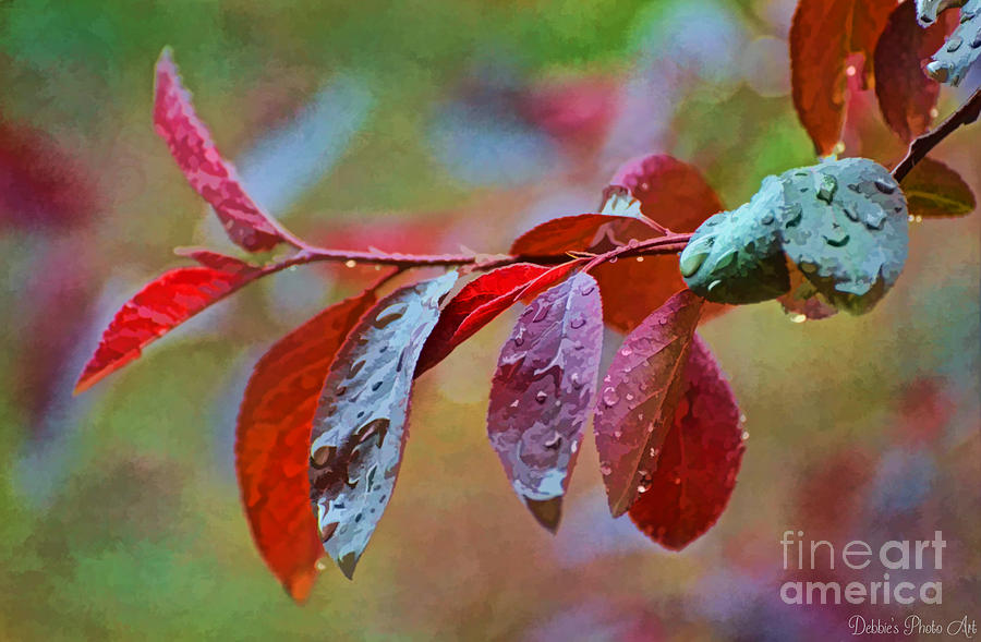 Ornamental Plum Tree Leaves with Raindrops - Digital Paint Photograph by Debbie Portwood