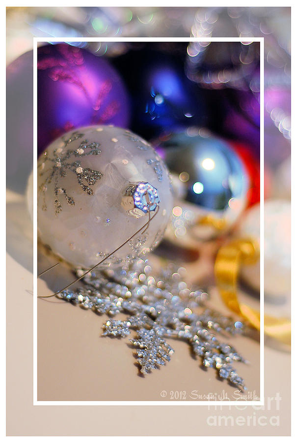 Christmas Photograph - Ornaments - Blank by Susan Smith