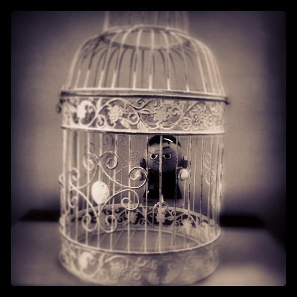 Frankenstein Photograph - Ornate Birdcage Frankenstein by Jayson Morrison