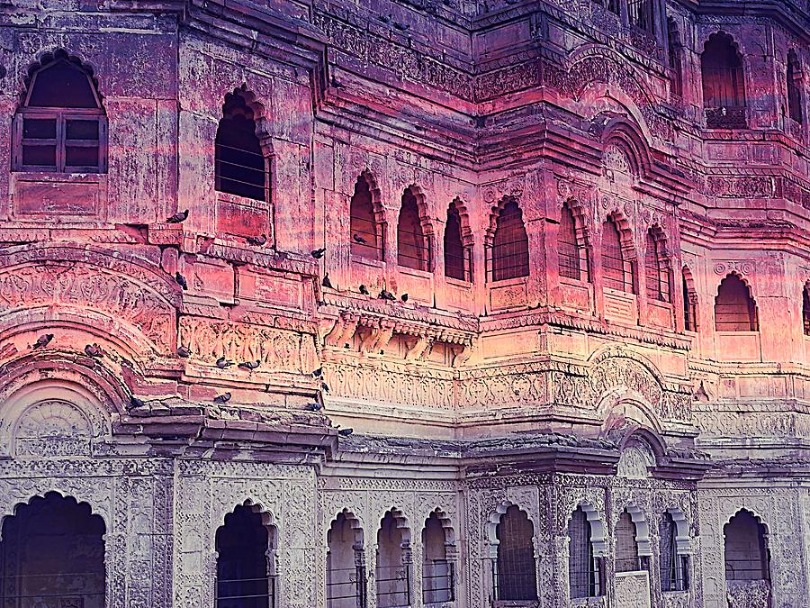Ornate Palace Mehrangarh Fort India Rajasthan Photograph by Sue Jacobi