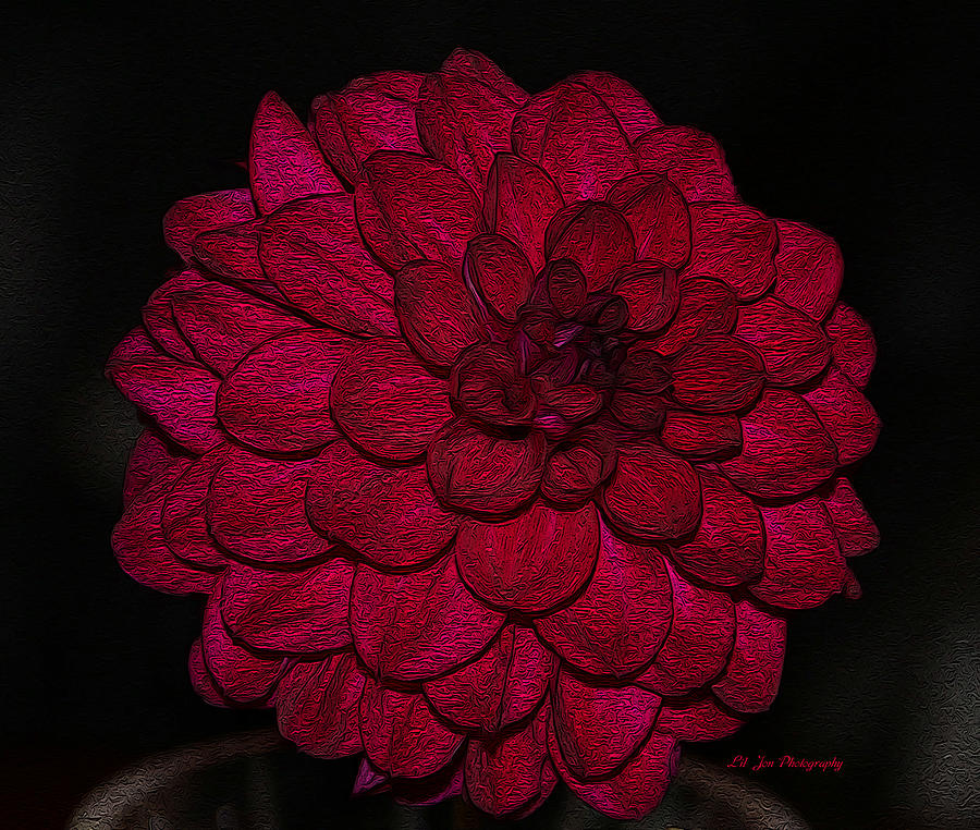 Ornate Red Dahlia Photograph by Jeanette C Landstrom