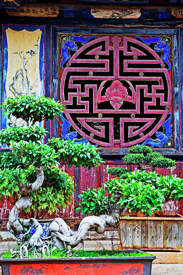 Ornately Decorated Pavilion At The Zhu Photograph by John W Banagan