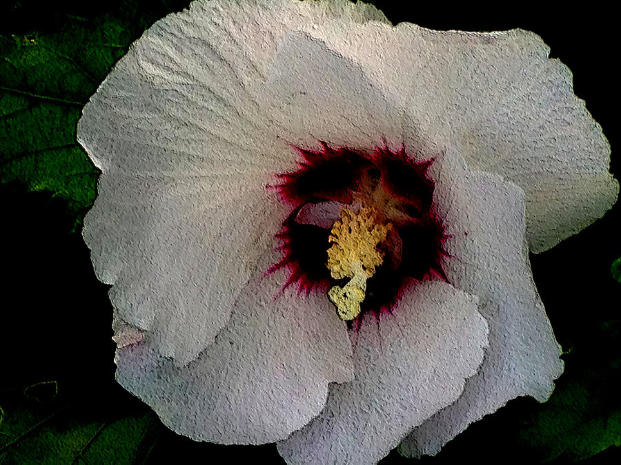 Ornias Rose of Sharon Digital Art by Jeff Iverson