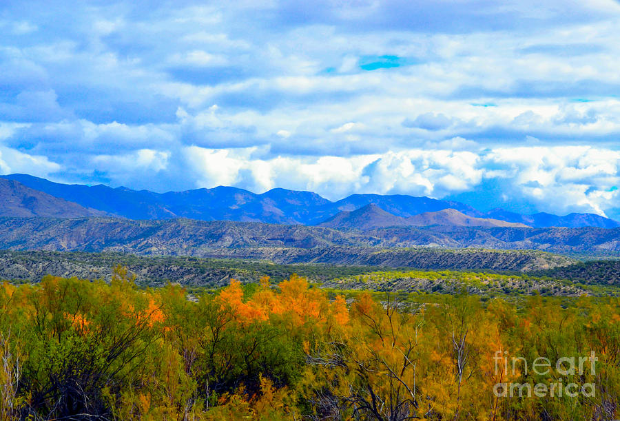 Oro Valley Arizona Landscape Photograph by Michael Moriarty - Pixels