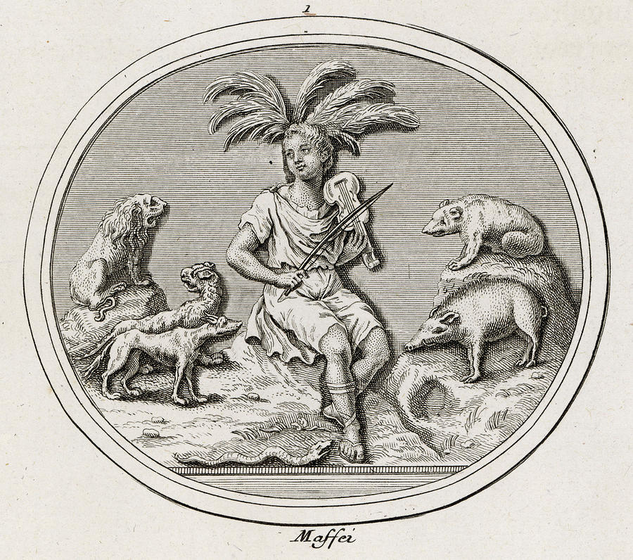 Animal Drawing - Orpheus Charms The Animals by Mary Evans Picture Library