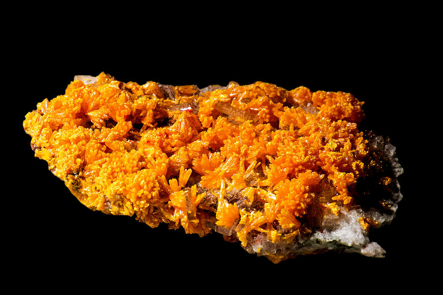Orpiment, Barity, Realgar, With Pyrite Photograph by Millard H. Sharp