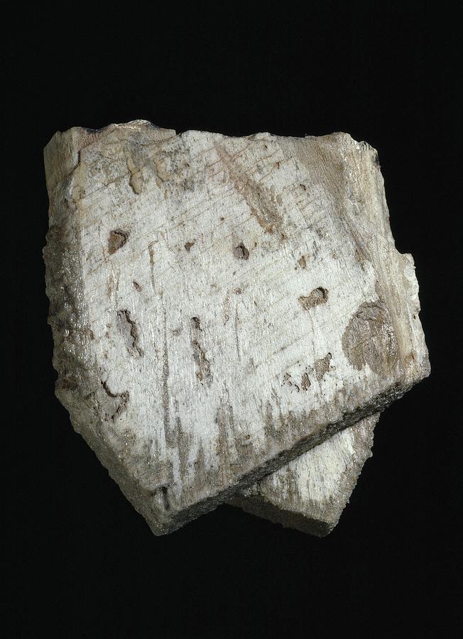 Orthoclase Specimen Photograph by Natural History Museum, London/science Photo Library