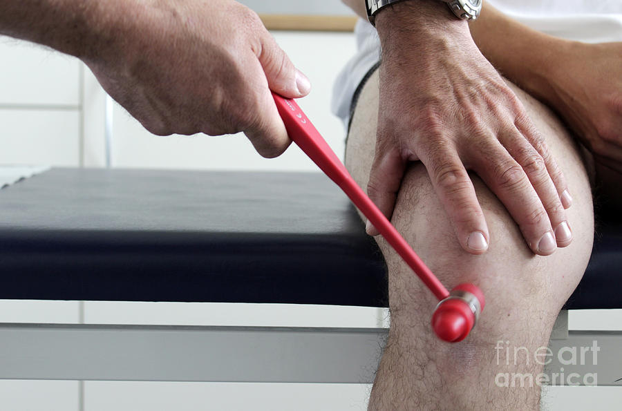 Orthopedist Examines A Patients Knee Photograph by Sigrid Gombert
