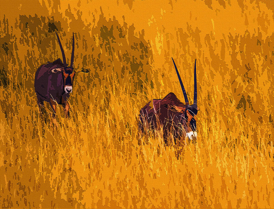 Oryx Digital Art by Brian Stevens