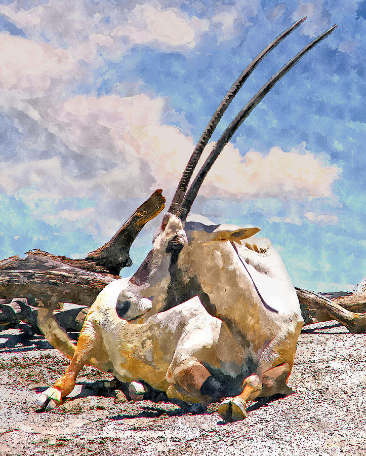 Oryx Painting by Rick Mosher