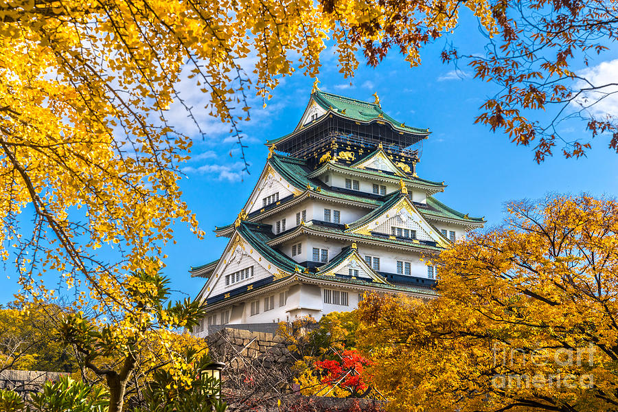 Osaka Castle in Osaka - Japan Photograph by Luciano Mortula