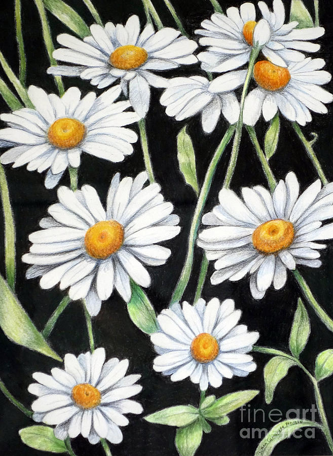 Daisy Painting - Oscoda Daisies by JoAnn Morgan Smith