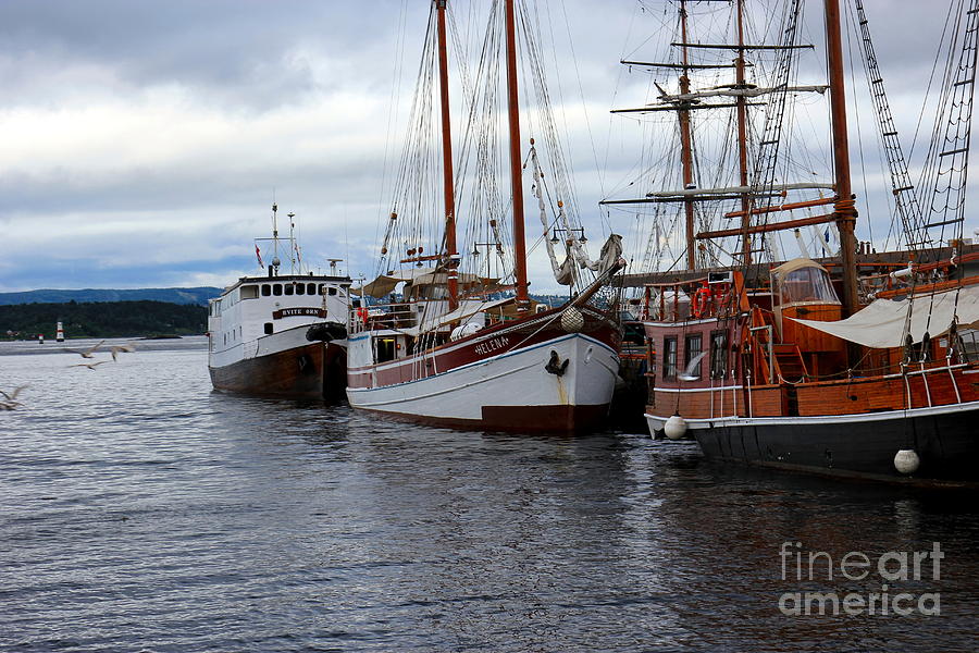 Summer Photograph - Oslo Port Norway by Sophie Vigneault