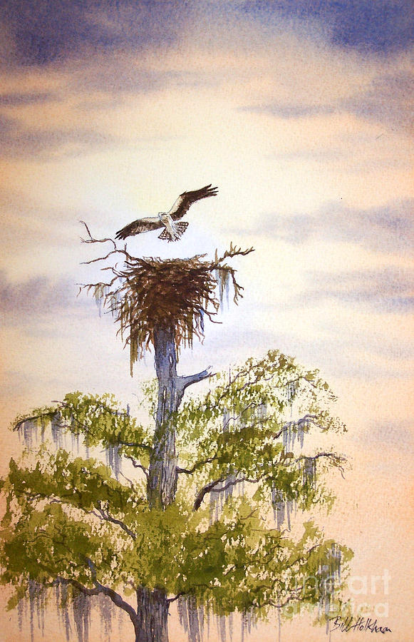 Osprey Approaching Nest Painting by Bill Holkham