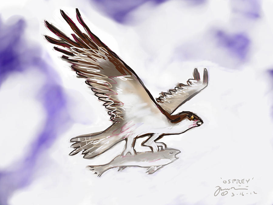 Osprey Painting by Jean Pacheco Ravinski