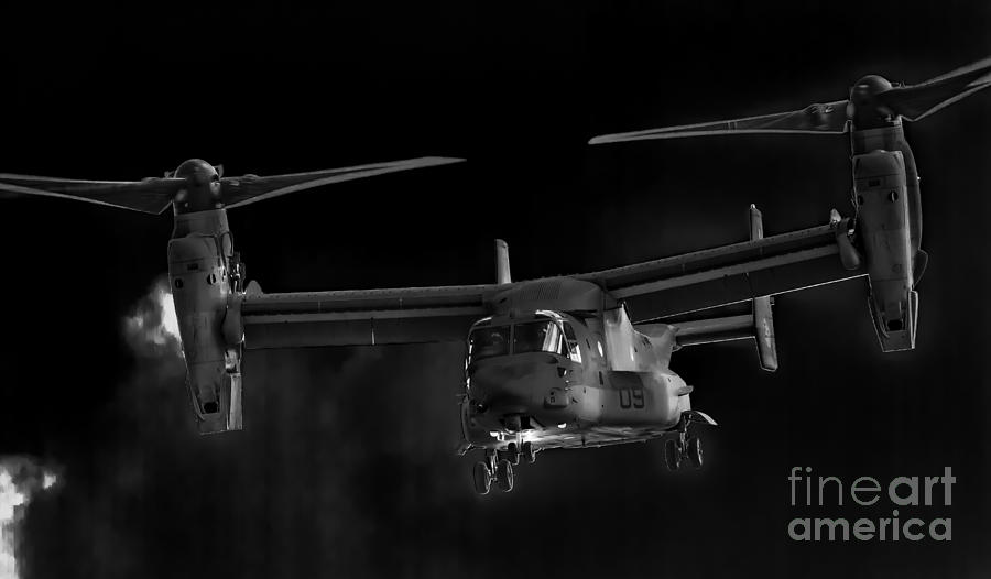 Osprey Night Ops Photograph by Ray Shiu