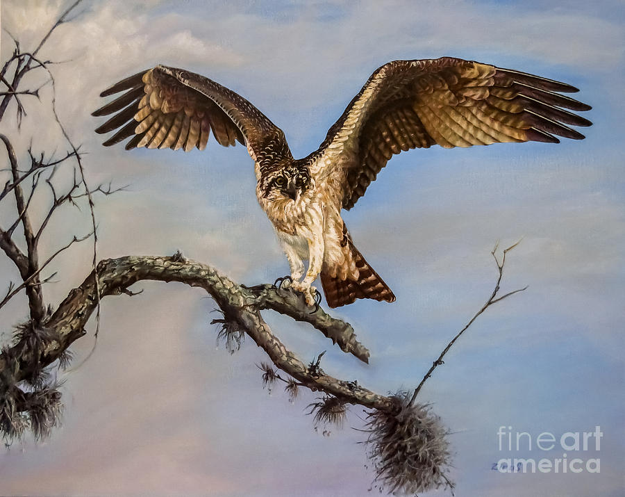 Osprey Painting - Osprey on the branch by Zina Stromberg
