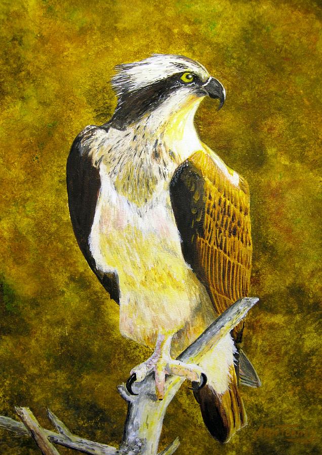 Osprey profile Painting by Stan Tenney