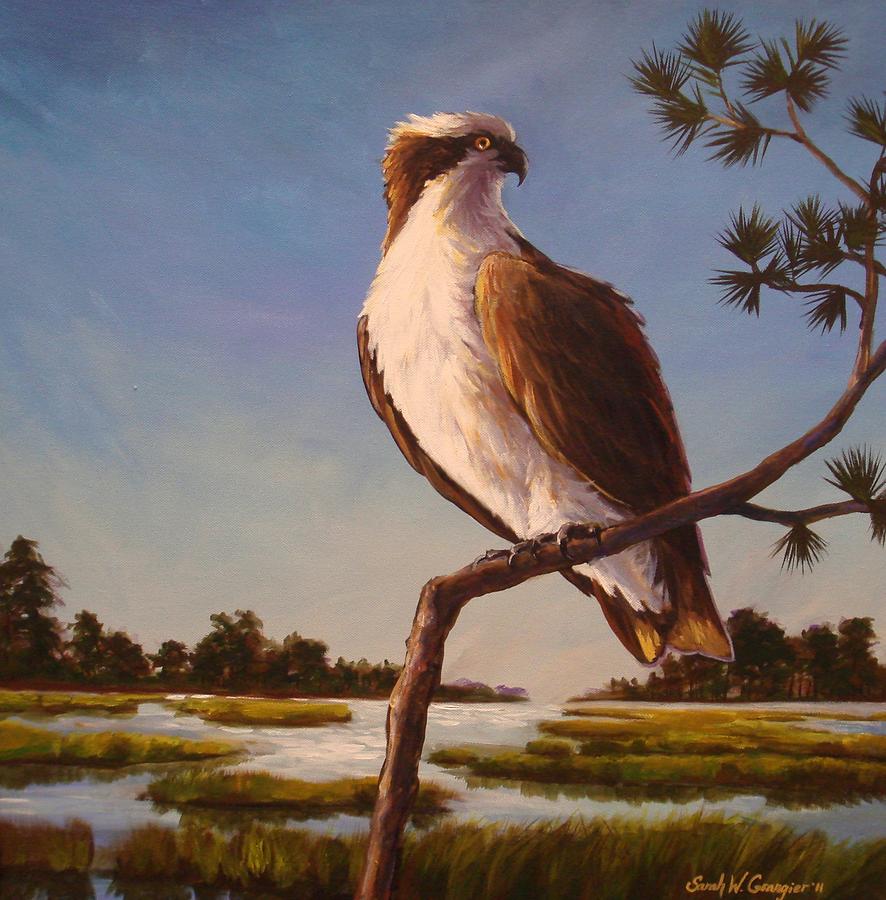 Osprey Painting by Sarah Grangier