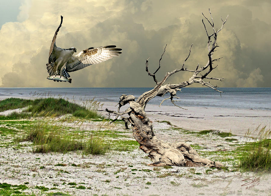 Ospreys Catch Digital Art by M Spadecaller
