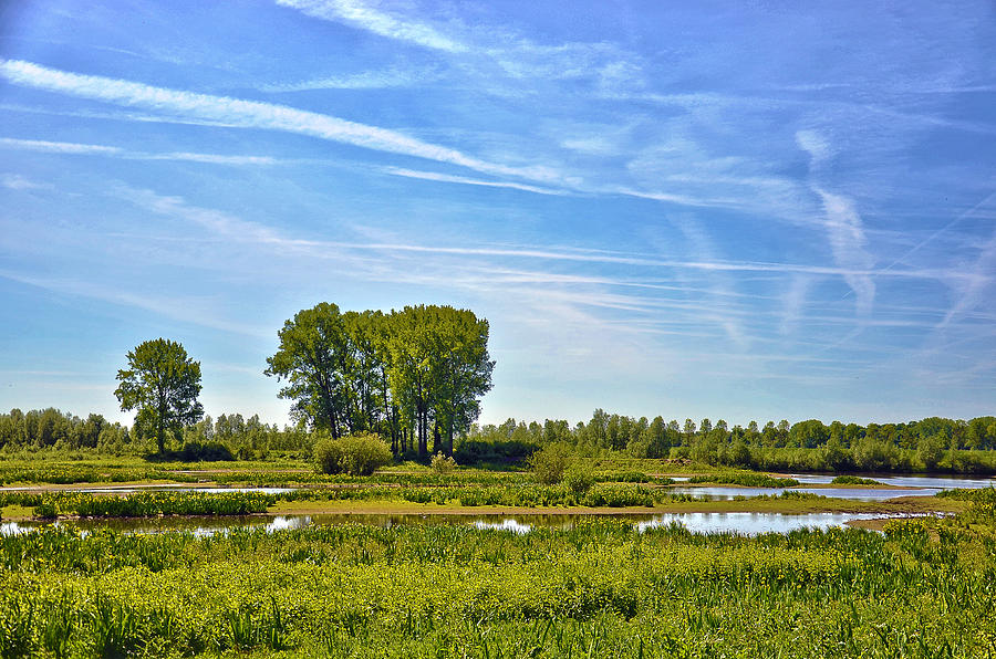 Ossenwaard near Deventer Photograph by Frans Blok