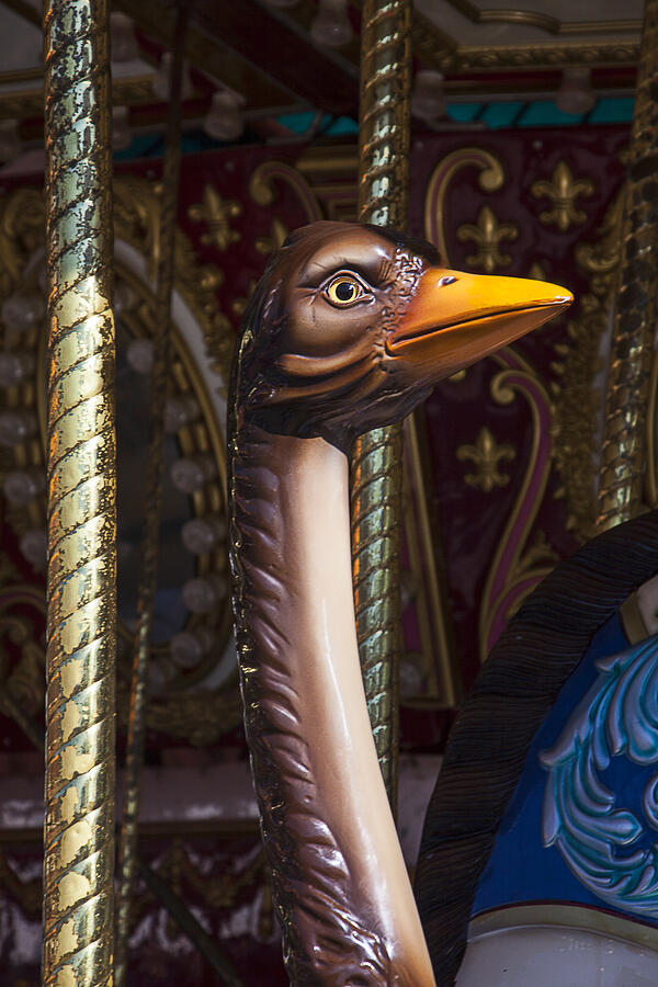 Fantasy Photograph - Ostrich Carrousel Ride by Garry Gay
