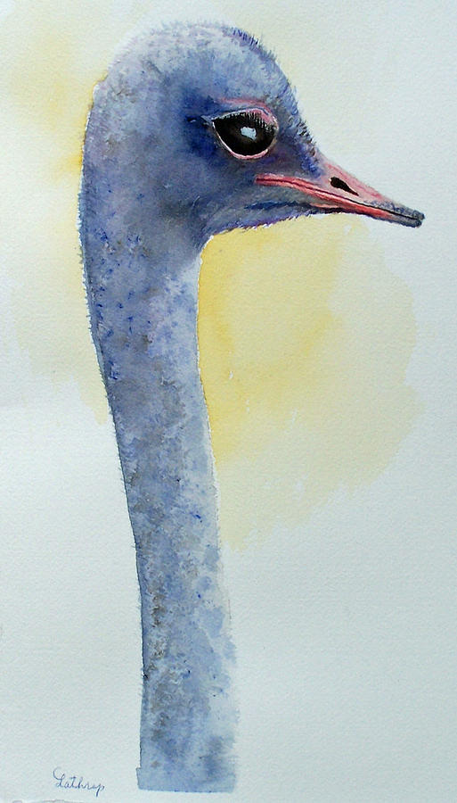 Ostrich Painting by Christine Lathrop