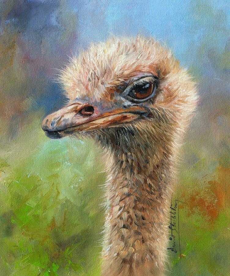 Ostrich Painting - Ostrich by David Stribbling