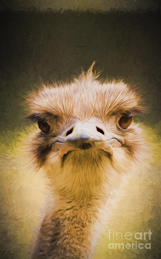 Ostrich Photograph - Ostrich by Sheila Smart Fine Art Photography