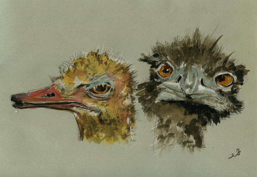 Wildlife Painting - Ostrichs head study by Juan  Bosco