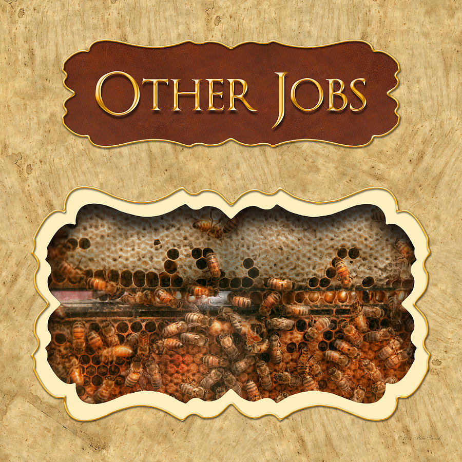 Other Jobs button Photograph by Mike Savad