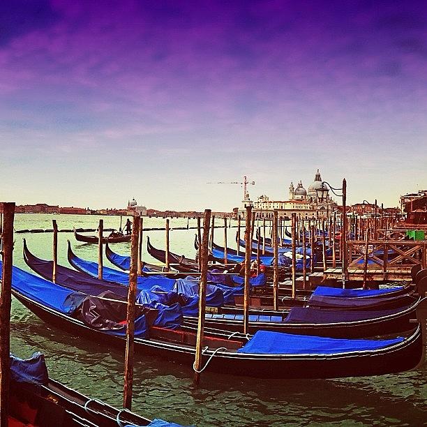 Other Photo Edit In Venice With Photograph by Alex Damico