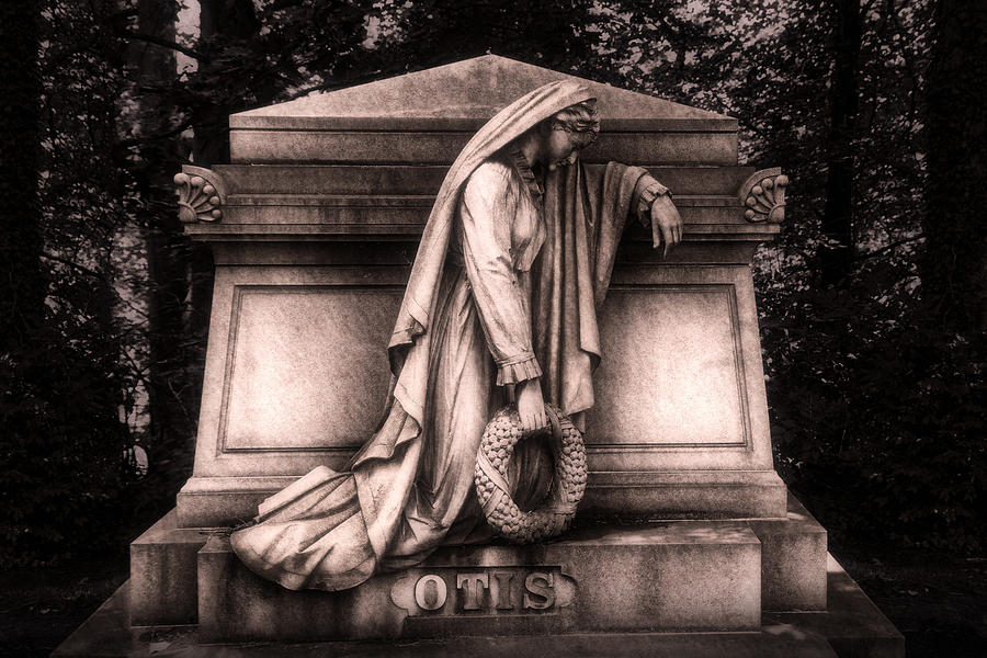 Cleveland Photograph - Otis Monument by Tom Mc Nemar