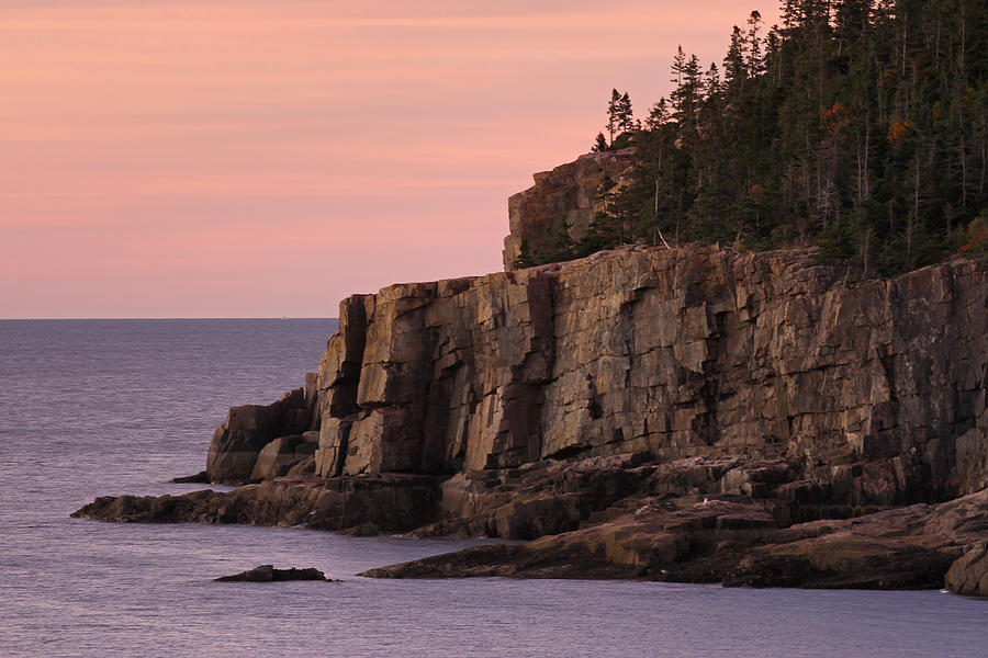 Acadia National Park Photograph - Otter Cliff at Dawn by Juergen Roth
