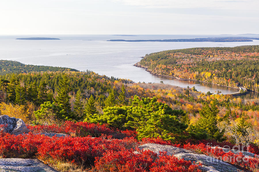 Otter Cove from Gorham Mountain in Autumn Acadia National Park Photograph by Ken Brown