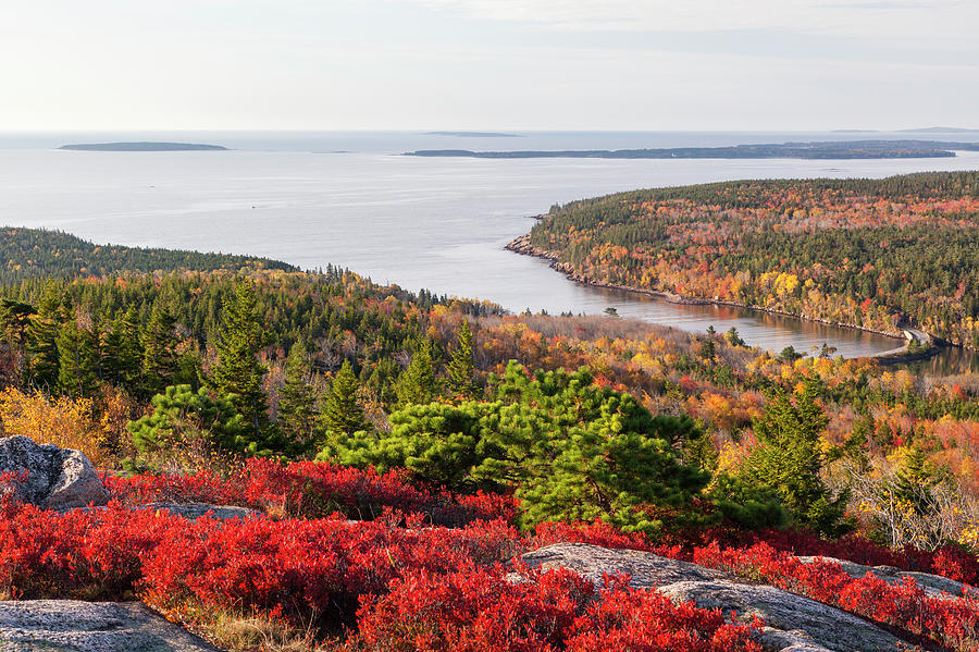Otter Cove From Gorham Mountain In Photograph by Picturelake