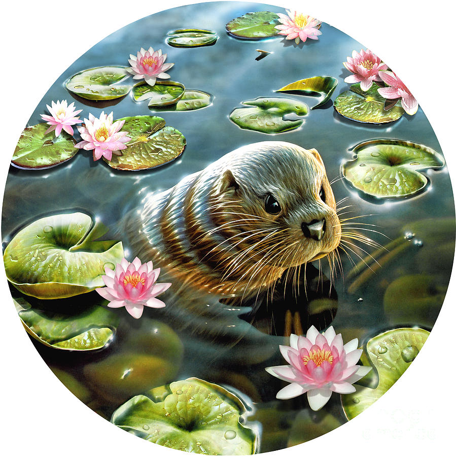 Animal Digital Art - Otter in Water Lilies by MGL Meiklejohn Graphics Licensing