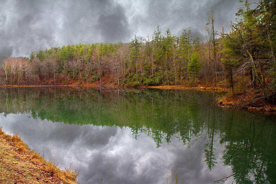 Tree Photograph - Otter Lake Reflections by Betsy Knapp