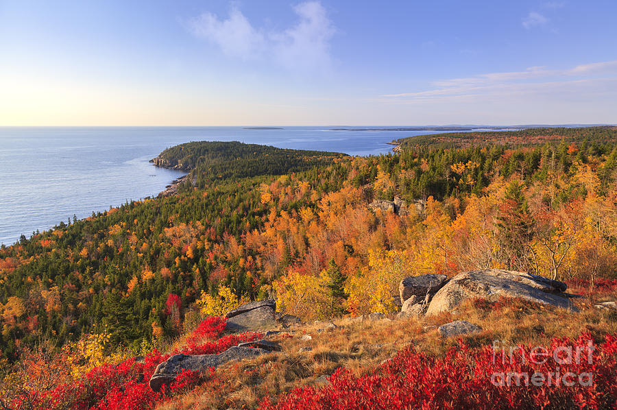 Otter Point from Gorham Mountain in Autumn Acadia National Park Photograph by Ken Brown