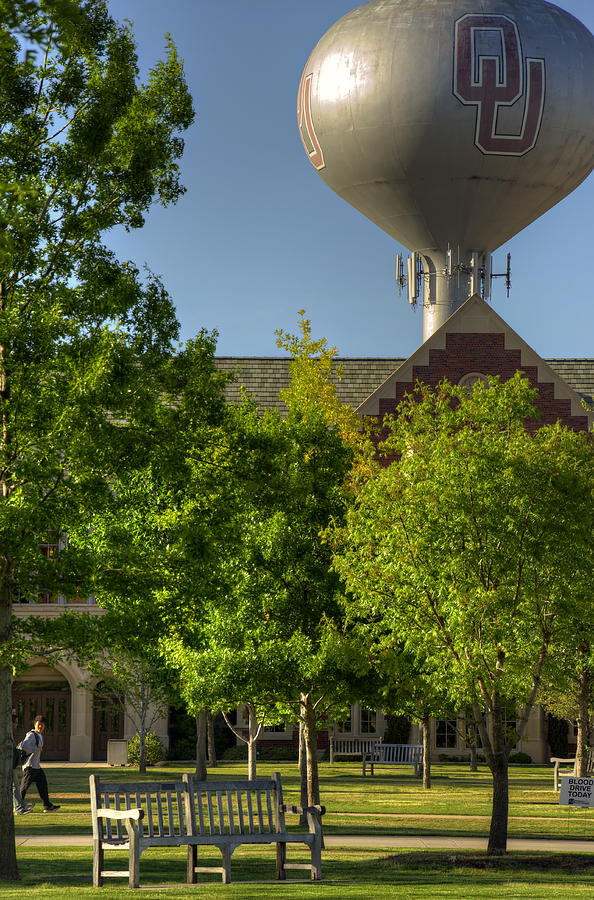 Tree Photograph - OU Campus by Ricky Barnard