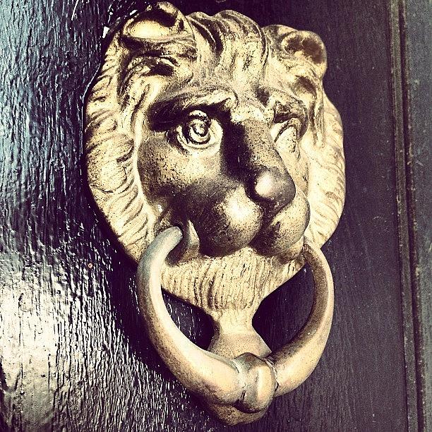 Our {brass} Door Knocker. #cmglimpse Photograph by Michelle Serna