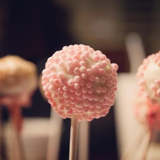 Cakepops Photograph - Our Cake Pops Actually Turned Out by Bridget Reyes