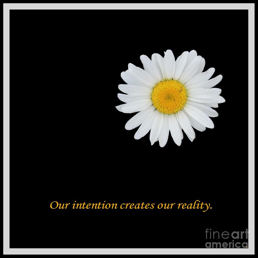 Our Intention Creates Our Reality Photograph by Barbara A Griffin