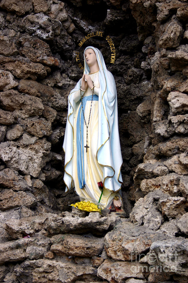 Our Lady of Lourdes Grotto Photograph by Patty Colabuono