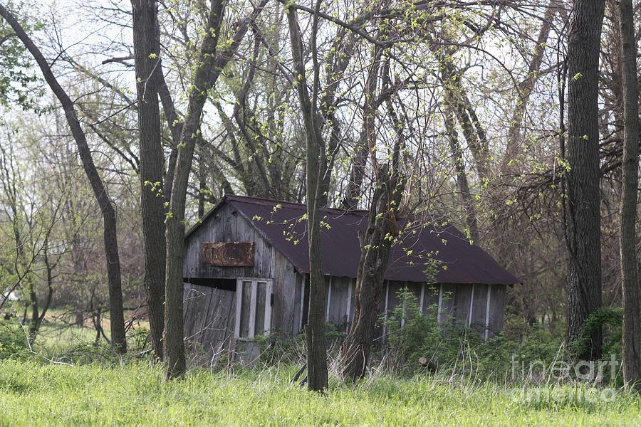 Our Lot Photograph By Kathy Cornett - Fine Art America