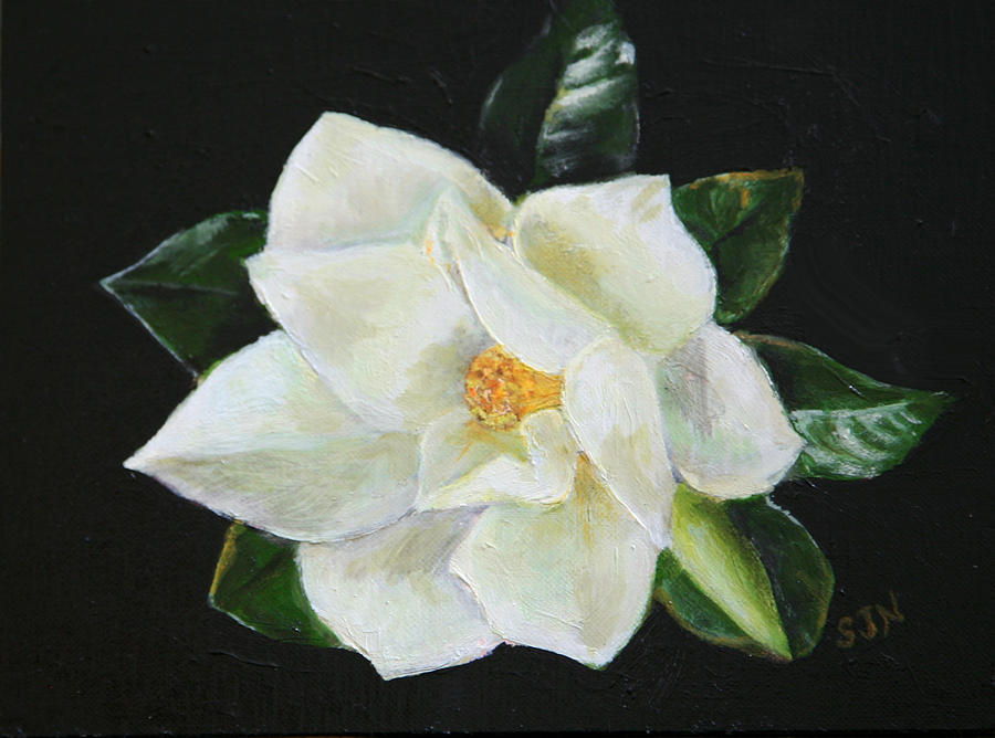 Our Magnolia Painting by Sandra Nardone