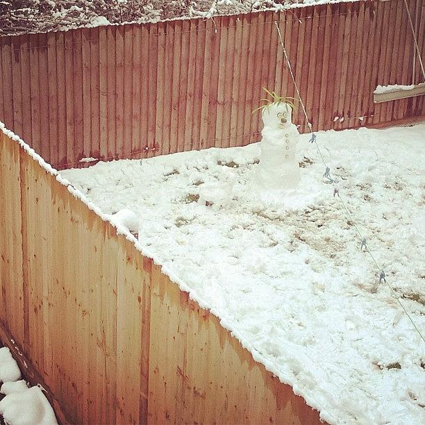 Snowman Photograph - Our Neighbours Enjoying The Snow by De Romaine
